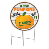 Farmer's Market U Pick Pumpkins Circle