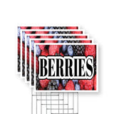 Berries