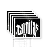 Carnitas