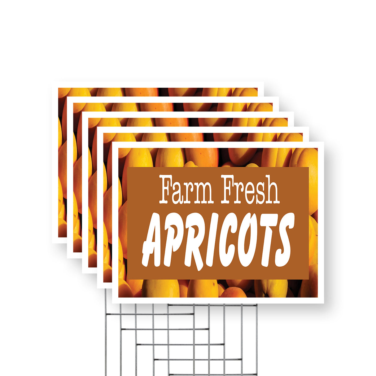 Farm Fresh Apricots