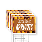 Farm Fresh Apricots