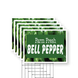 Farm Fresh Bell Pepper