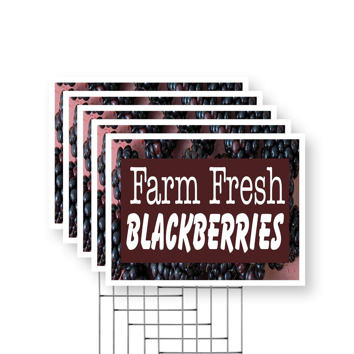 Farm Fresh Blackberries