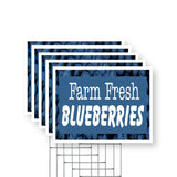 Farm Fresh Blueberries