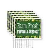 Farm Fresh Brussels Sprouts