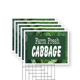 Farm Fresh Cabbage