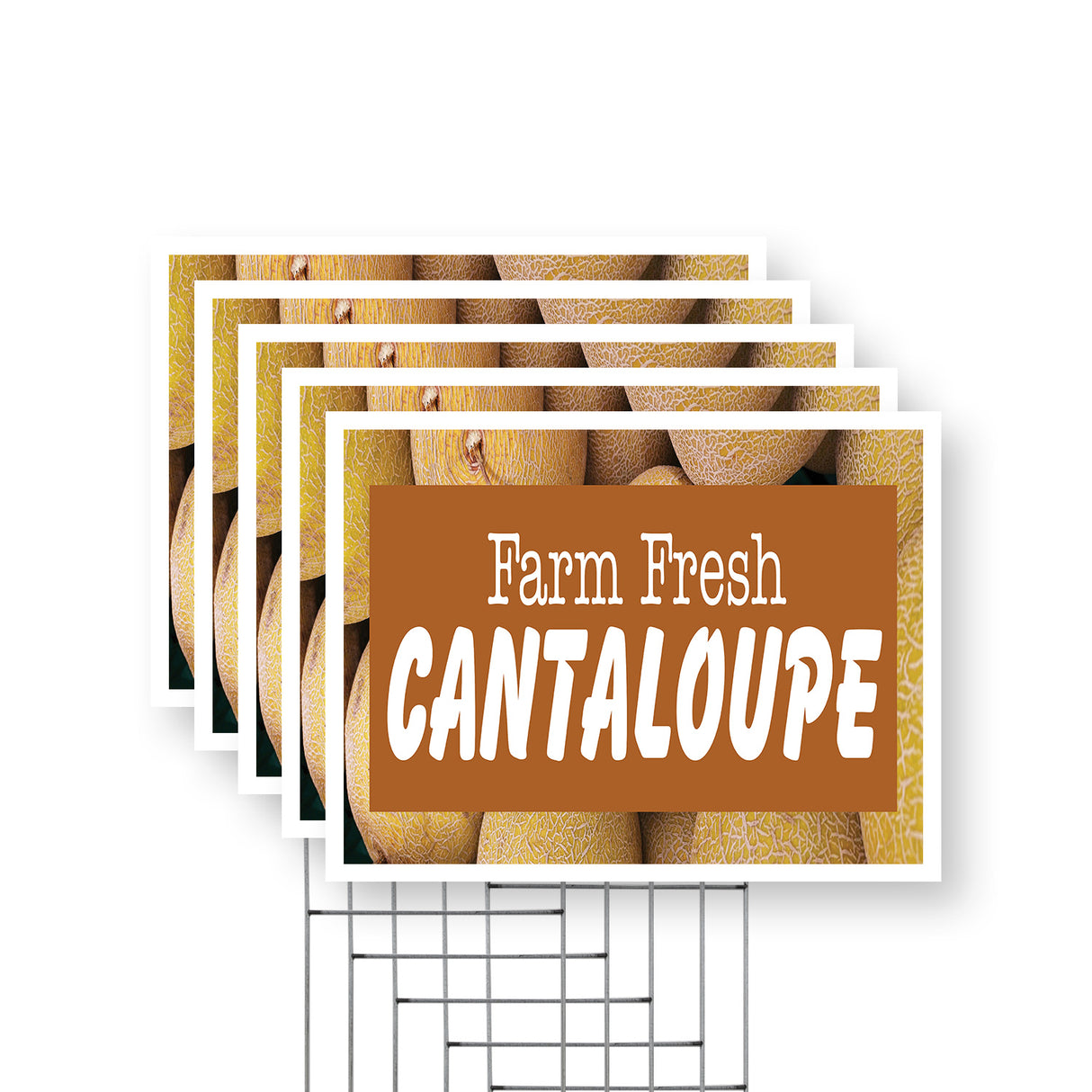 Farm Fresh Cantaloupe