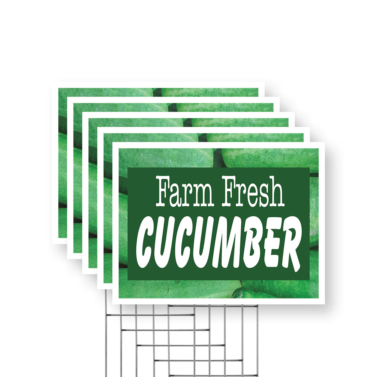 Farm Fresh Cucumber