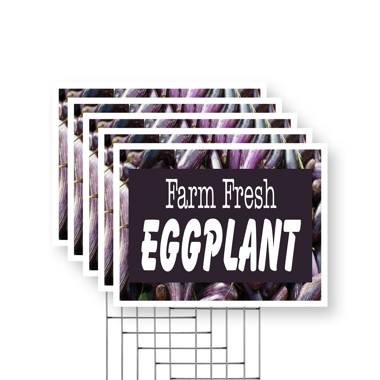 Farm Fresh Eggplant