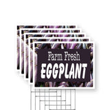 Farm Fresh Eggplant