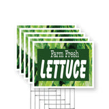 Farm Fresh Lettuce