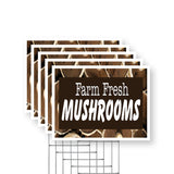 Farm Fresh Mushrooms