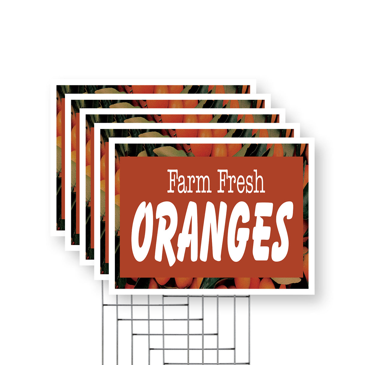 Farm Fresh Oranges