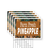 Farm Fresh Pineapples
