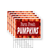 Farm Fresh Pumpkins