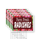 Farm Fresh Radishes