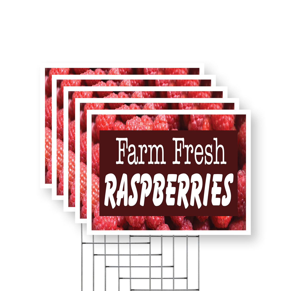 Farm Fresh Raspberries
