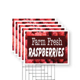 Farm Fresh Raspberries