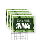 Farm Fresh Spinach