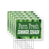 Farm Fresh Summer Squash
