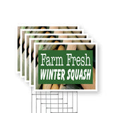 Farm Fresh Winter Squash