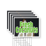 Fresh Coconuts