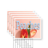 Peaches