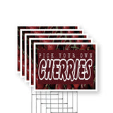 Pick Your Own Cherries