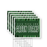Pick Your Own Green Beans