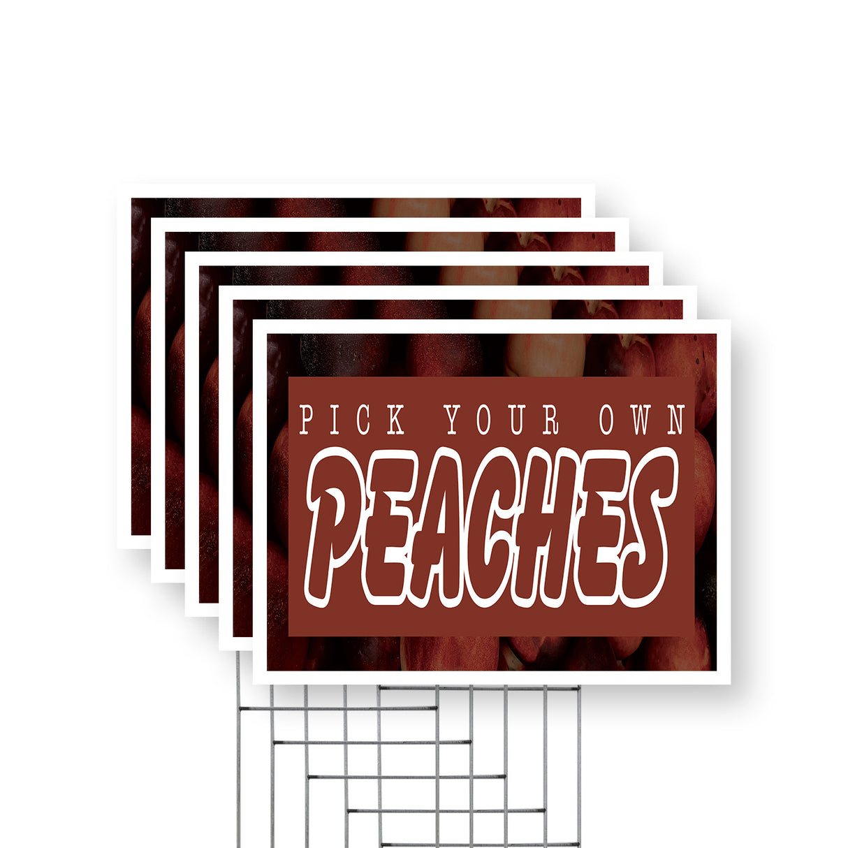 Pick Your Own Peaches