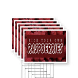 Pick Your Own Raspberries