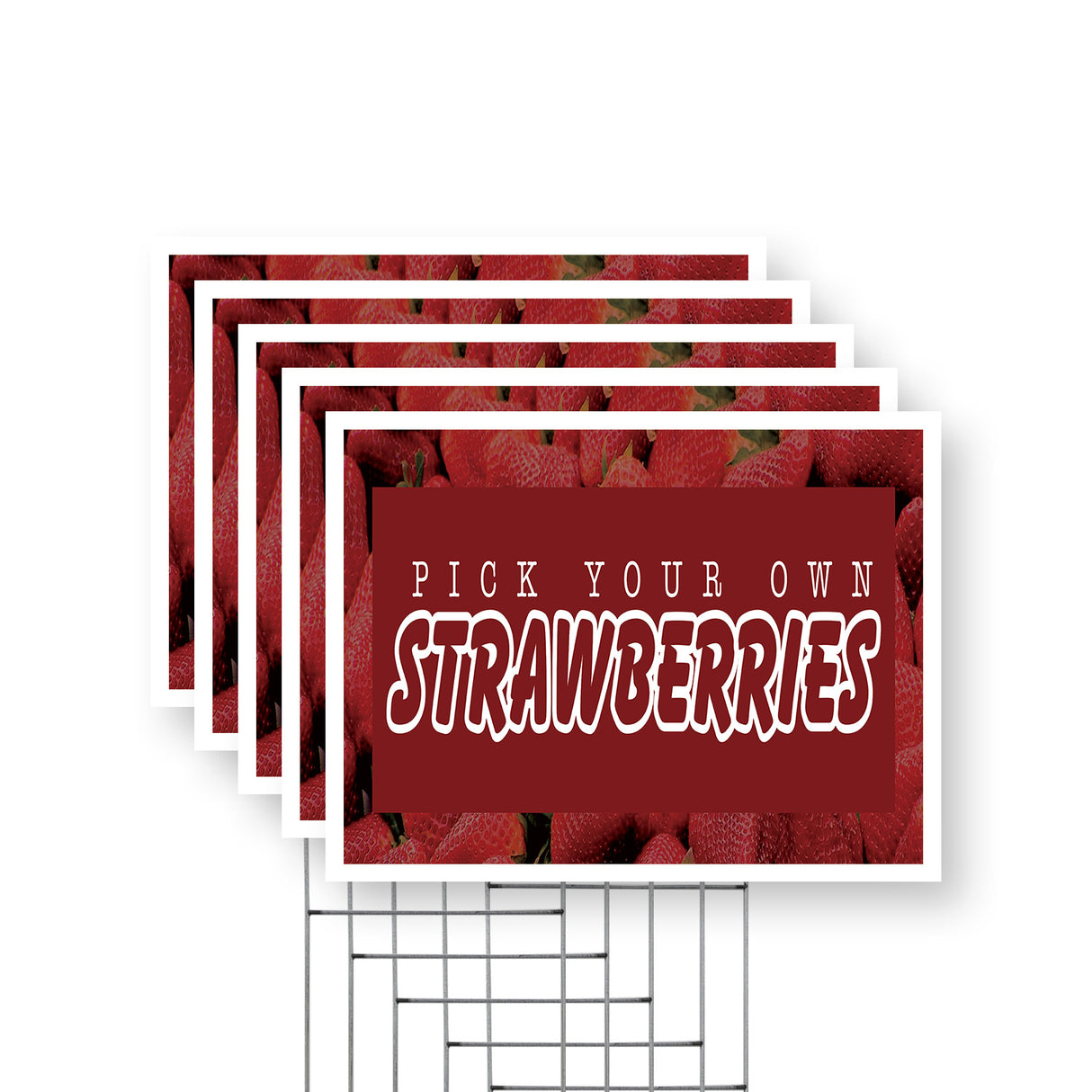 Pick Your Own Strawberries