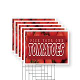 Pick Your Own Tomatoes