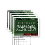 Pick Your Own Vegetables