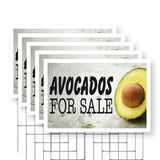 Avocados for Sale