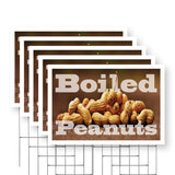 Boiled Peanuts