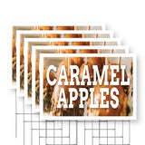 Caramel Apples