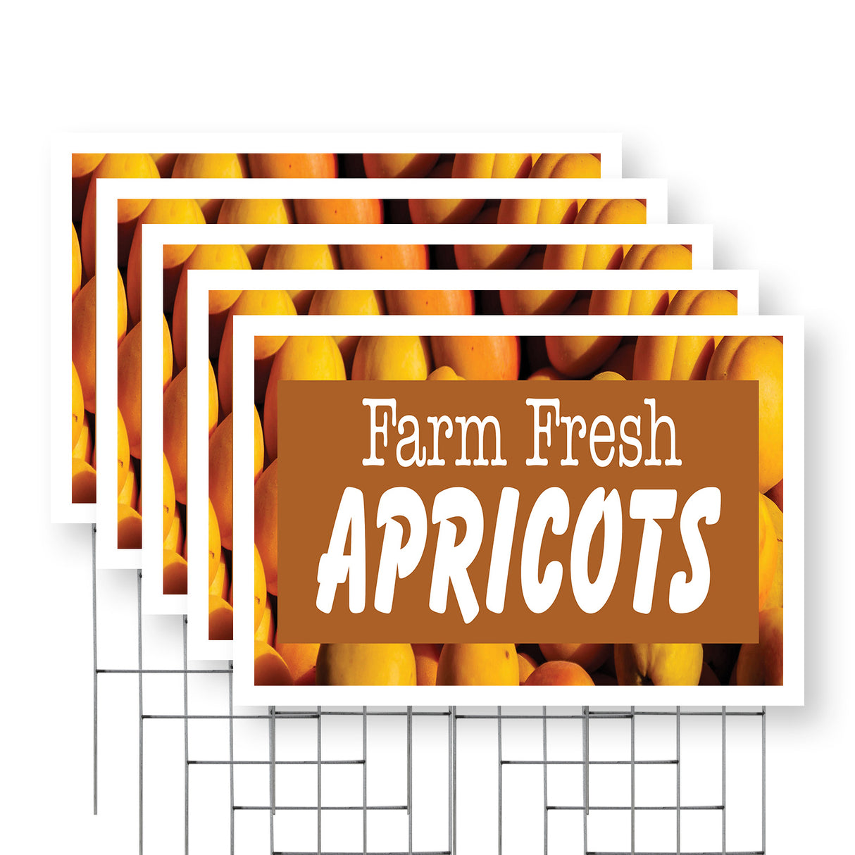 Farm Fresh Apricots