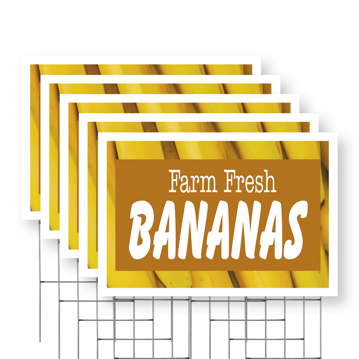 Farm Fresh Bananas