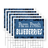 Farm Fresh Blueberries