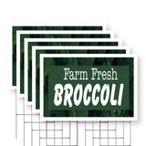 Farm Fresh Broccoli