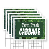 Farm Fresh Cabbage