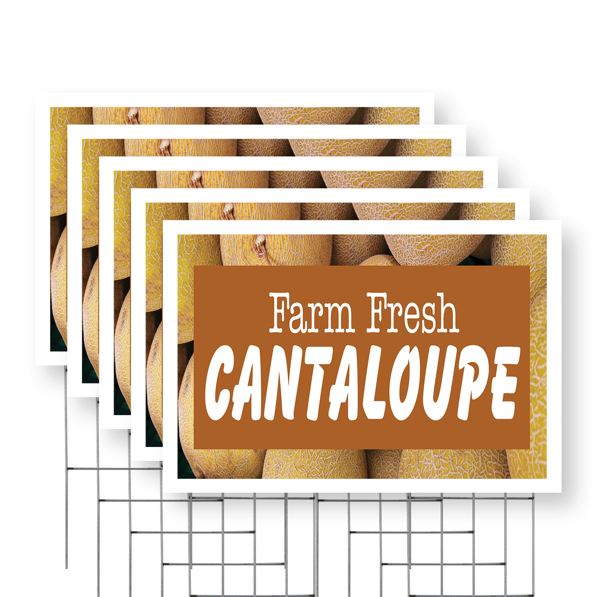 Farm Fresh Cantaloupe