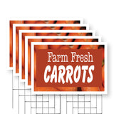 Farm Fresh Carrots