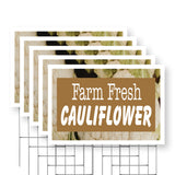 Farm Fresh Cauliflower