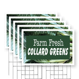 Farm Fresh Collard Greens