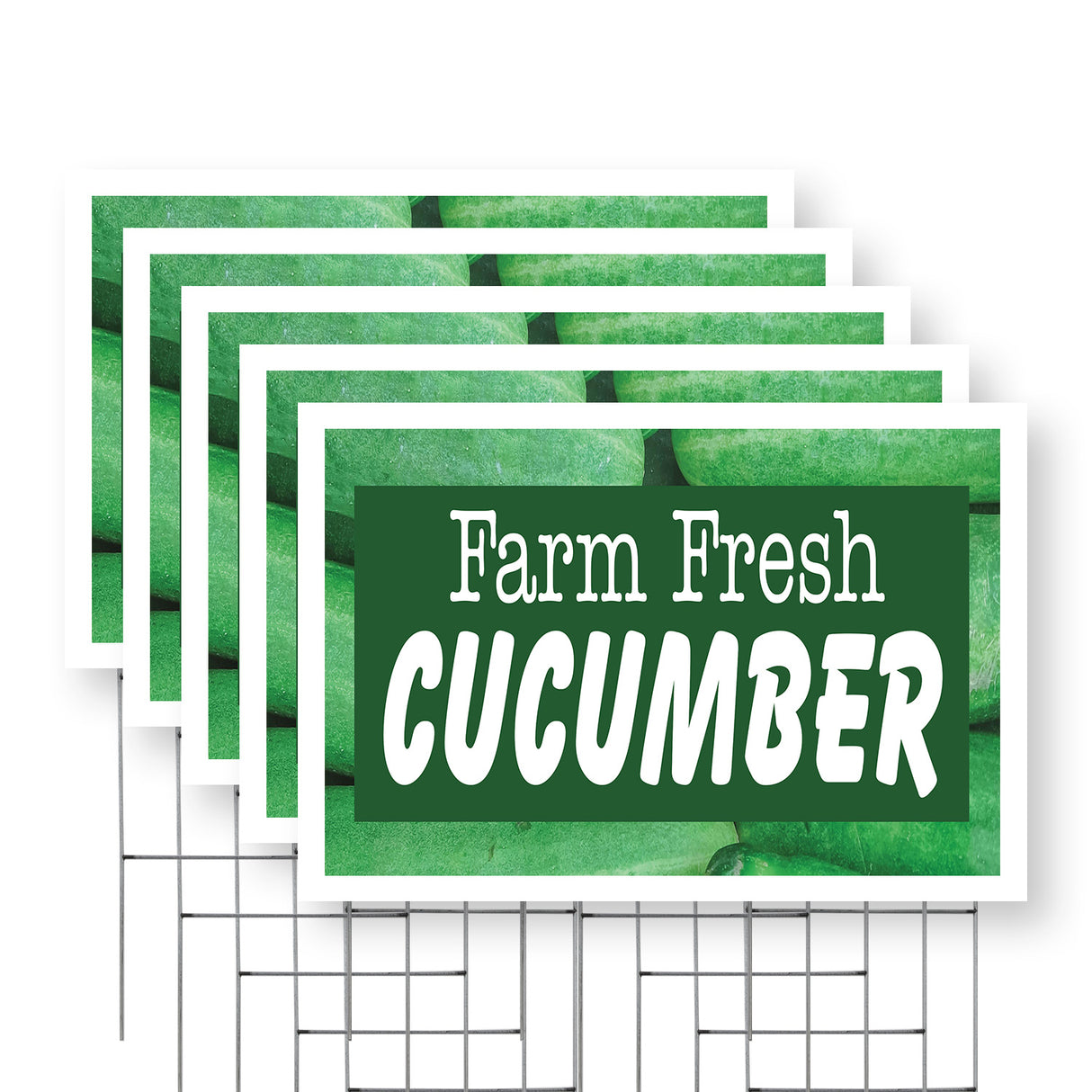 Farm Fresh Cucumber