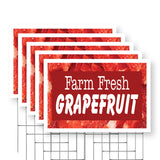 Farm Fresh Grapefruit