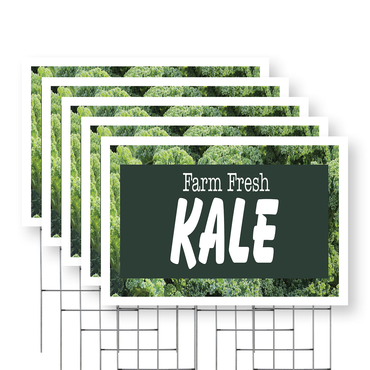 Farm Fresh Kale