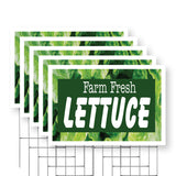 Farm Fresh Lettuce